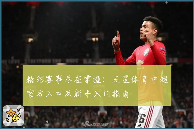 精彩赛事尽在掌握：五星体育中超官方入口及新手入门指南