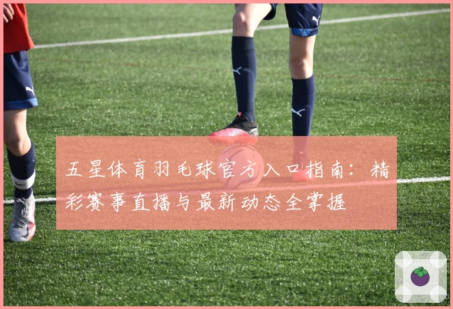 五星体育羽毛球官方入口指南：精彩赛事直播与最新动态全掌握